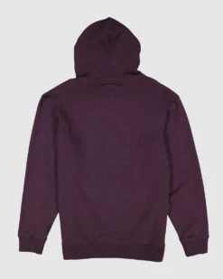 Billabong Beach Days Pop Hoodie Mens In Fig -New Look Vibe ubyft00228 billabong f fig bck1 55576.1683502923
