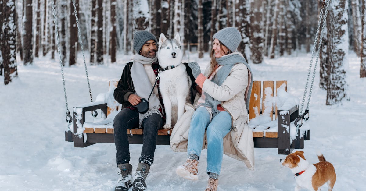 New Look Vibe -New Look Vibe pexels photo 6530652